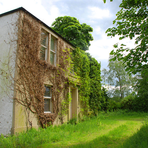 While rather overgrown, Gartarry Farmhouse is still an impressive and elegant building with a commanding view over the land around. One of the first jobs will be to remove the creepers.